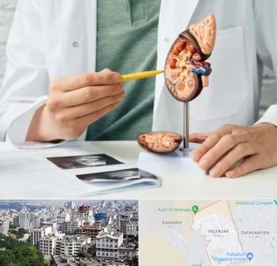 دکتر اورولوژیست در ولنجک 