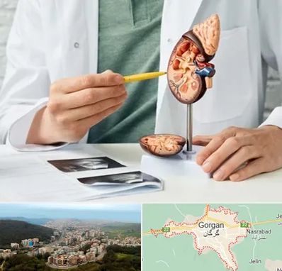 دکتر اورولوژیست در گرگان