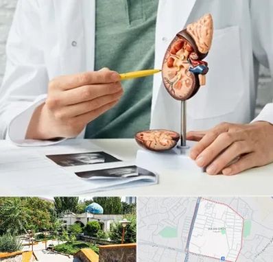 دکتر اورولوژیست در باغمیشه تبریز