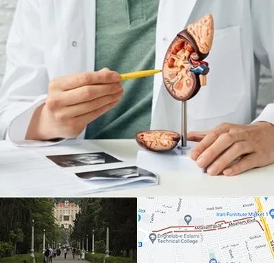 دکتر اورولوژیست در بلوار معلم رشت 