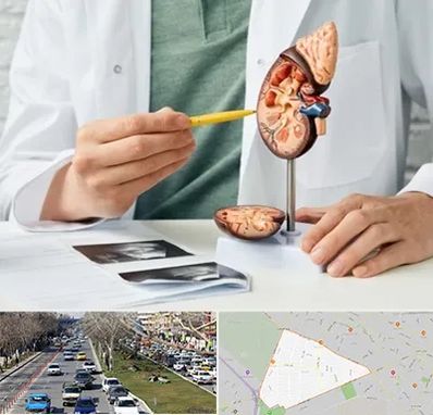 دکتر اورولوژیست در احمدآباد مشهد 