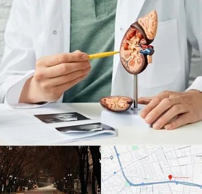 دکتر اورولوژیست در ابوریحان تبریز