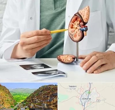 دکتر اورولوژیست در کامیاران