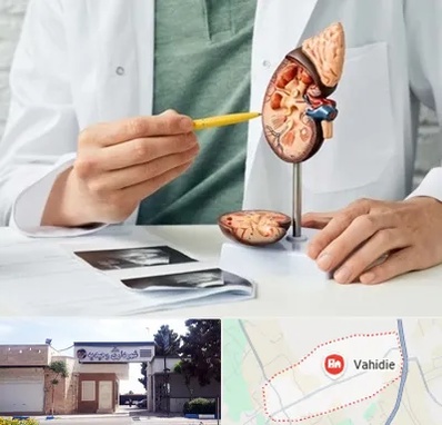 دکتر اورولوژیست در وحیدیه شهریار