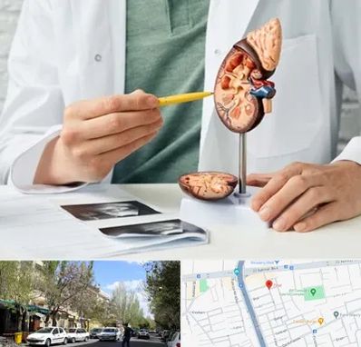 دکتر اورولوژیست در کوی فیروز تبریز