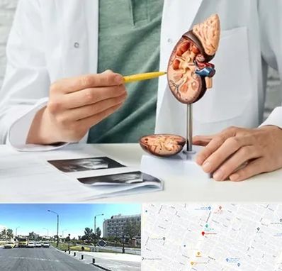 دکتر اورولوژیست در بلوار کلاهدوز مشهد 