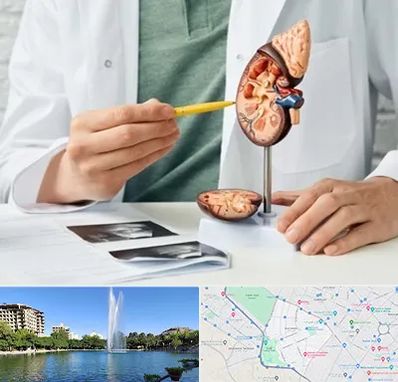 دکتر اورولوژیست در کوهسنگی مشهد 