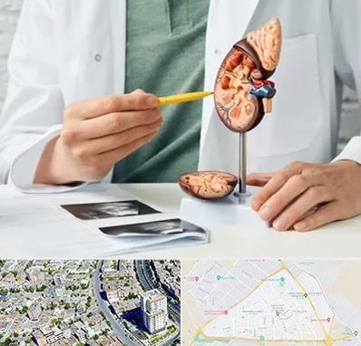 دکتر اورولوژیست در قاسم آباد مشهد 