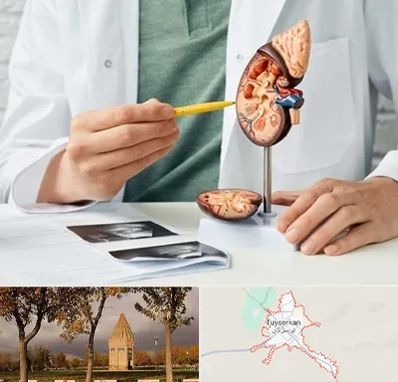 دکتر اورولوژیست در تویسرکان