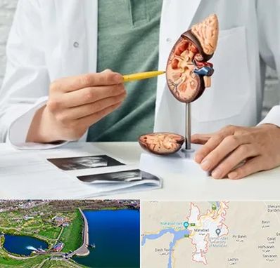 دکتر اورولوژیست در مهاباد