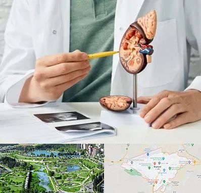 دکتر اورولوژیست در بجنورد