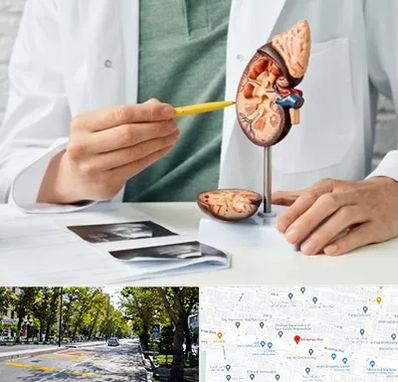 دکتر اورولوژیست در میرداماد 