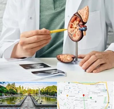 دکتر اورولوژیست در سرسبز 