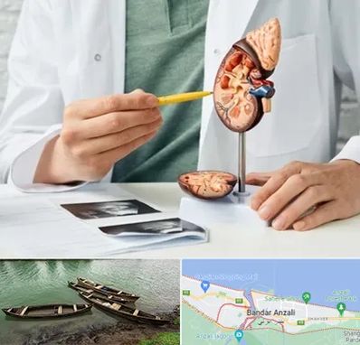 دکتر اورولوژیست در بندر انزلی
