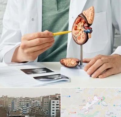 دکتر اورولوژیست در محمد شهر کرج 