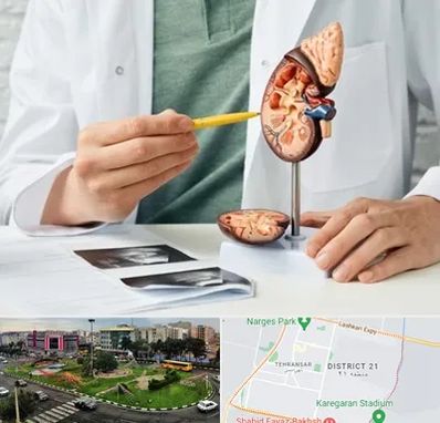 دکتر اورولوژیست در تهرانسر 