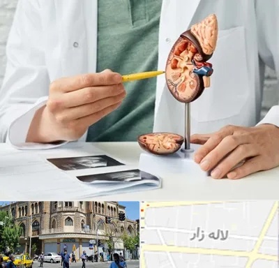 دکتر اورولوژیست در لاله زار