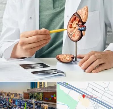 دکتر اورولوژیست در لاله پارک تبریز