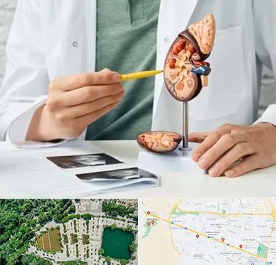 دکتر اورولوژیست در وکیل آباد مشهد 