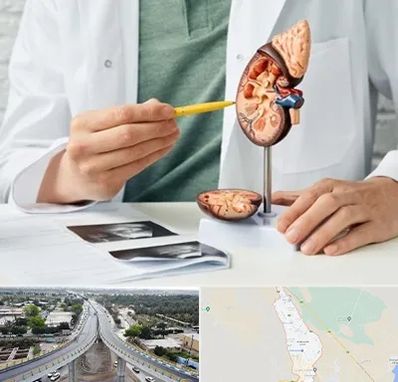 دکتر اورولوژیست در اندیمشک