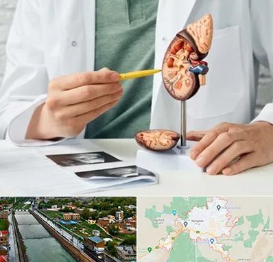 دکتر اورولوژیست در مراغه