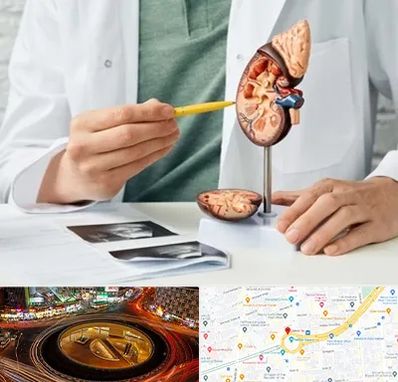 دکتر اورولوژیست در میدان ولیعصر 