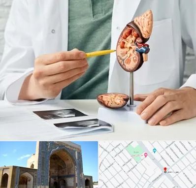 دکتر اورولوژیست در مصلی مشهد