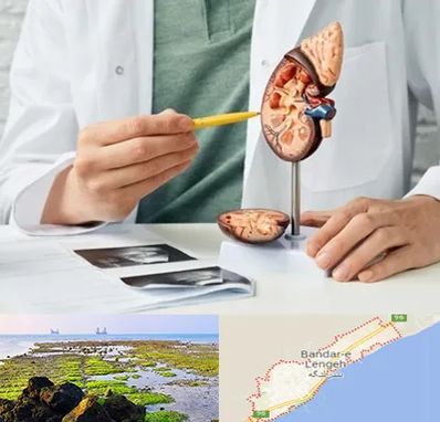 دکتر اورولوژیست در بندرلنگه