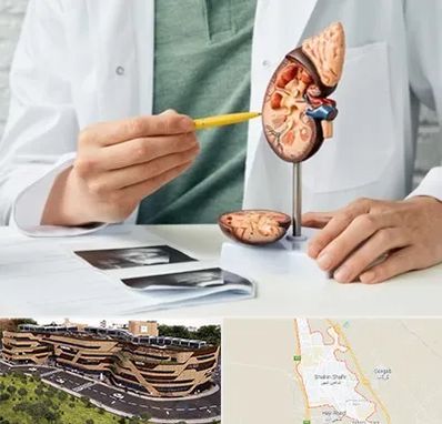دکتر اورولوژیست در شاهین شهر