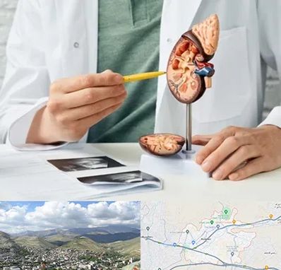 دکتر اورولوژیست در رودهن