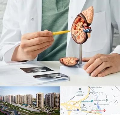 دکتر اورولوژیست در المپیک 