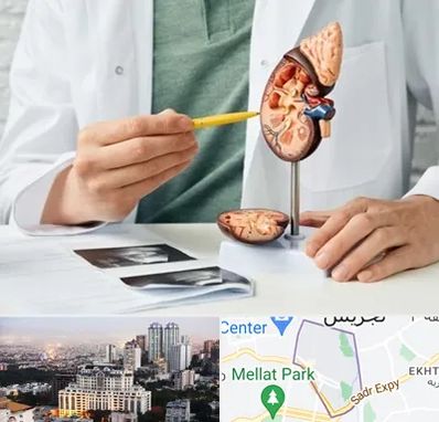 دکتر اورولوژیست در الهیه 