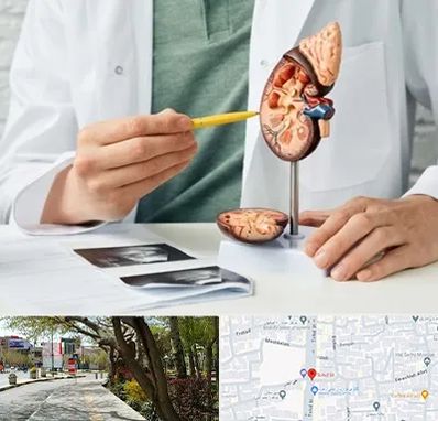 دکتر اورولوژیست در خیابان توحید اصفهان 