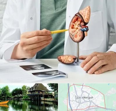 دکتر اورولوژیست در صومعه سرا