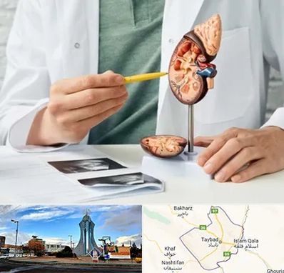 دکتر اورولوژیست در تایباد