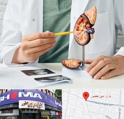 دکتر اورولوژیست در امین حضور