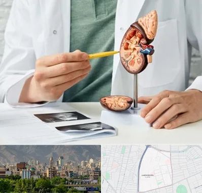 دکتر اورولوژیست در جمشیدیه