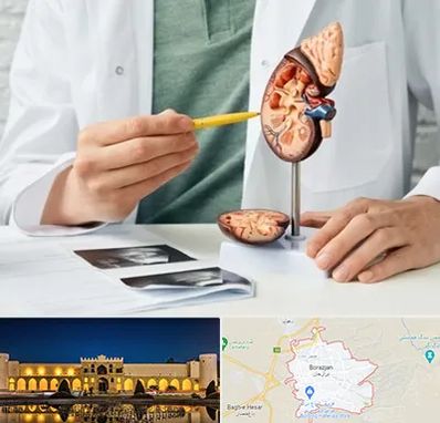 دکتر اورولوژیست در برازجان
