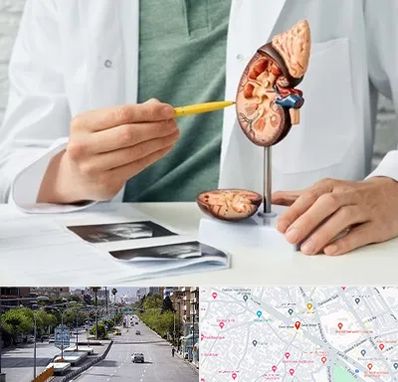 دکتر اورولوژیست در خیابان زند شیراز 