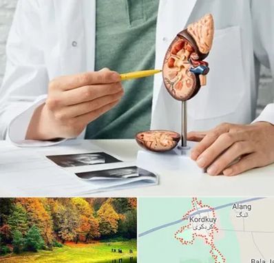دکتر اورولوژیست در کردکوی