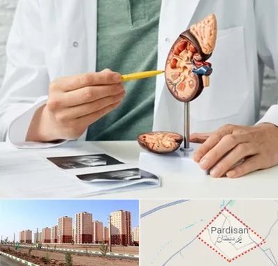 دکتر اورولوژیست در پردیسان قم