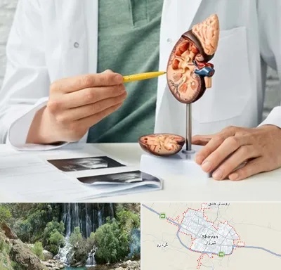 دکتر اورولوژیست در شیروان