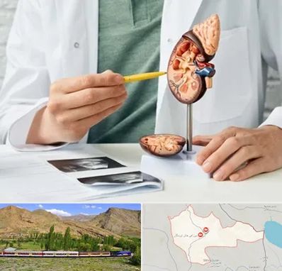 دکتر اورولوژیست در خاش