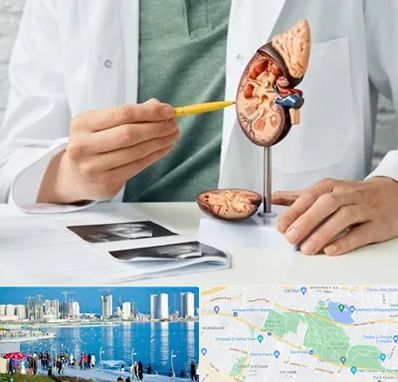 دکتر اورولوژیست در چیتگر 