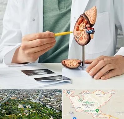 دکتر اورولوژیست در شهرکرد