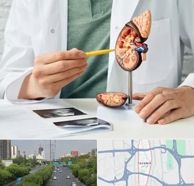 دکتر اورولوژیست در توانیر