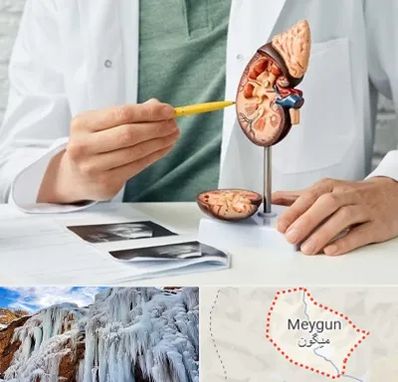 دکتر اورولوژیست در میگون