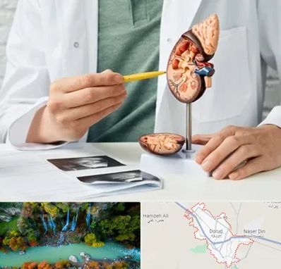 دکتر اورولوژیست در دورود