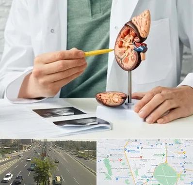 دکتر اورولوژیست در منطقه 17 تهران 