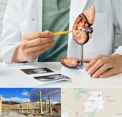 دکتر اورولوژیست در مرودشت